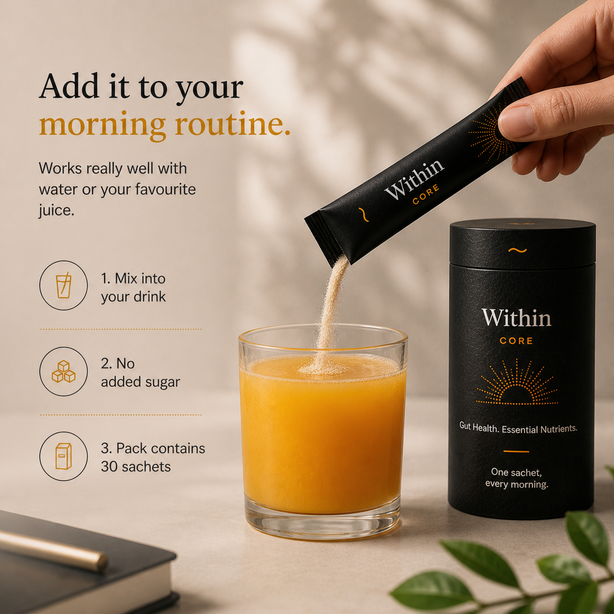 Within Core - Gut Health & Nutrients